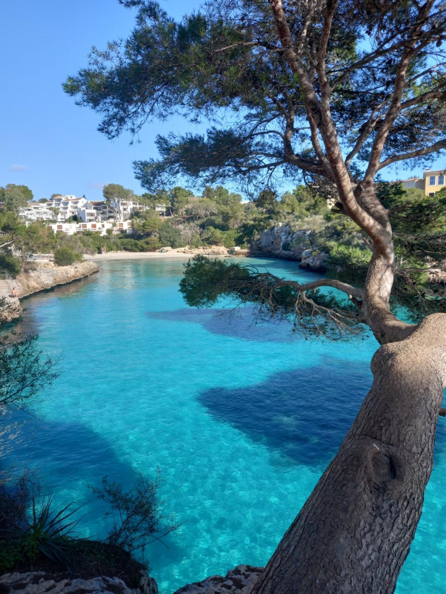 Appartement Ferrera Park Vue Mer Cala Ferrera  Exterior foto